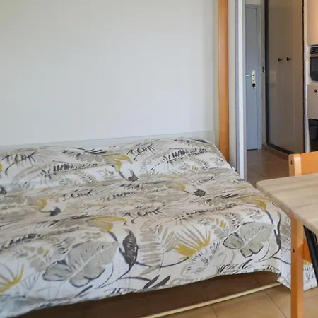 Piscine Et Appartement Furiani