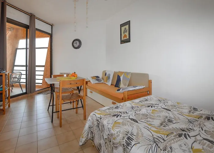 Appartement Piscine Et Furiani